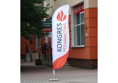 Flaga midi na Kongres