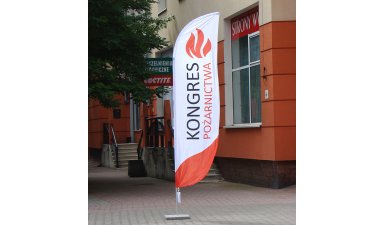 Flaga midi na Kongres
